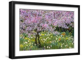 France, Giverny. Springtime in Claude Monet's Garden-Jaynes Gallery-Framed Photographic Print