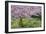 France, Giverny. Springtime in Claude Monet's Garden-Jaynes Gallery-Framed Photographic Print