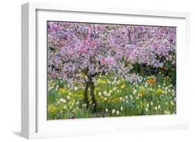 France, Giverny. Springtime in Claude Monet's Garden-Jaynes Gallery-Framed Photographic Print