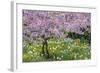 France, Giverny. Springtime in Claude Monet's Garden-Jaynes Gallery-Framed Photographic Print