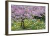 France, Giverny. Springtime in Claude Monet's Garden-Jaynes Gallery-Framed Photographic Print