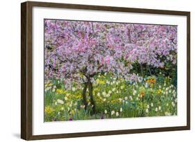 France, Giverny. Springtime in Claude Monet's Garden-Jaynes Gallery-Framed Photographic Print