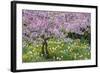 France, Giverny. Springtime in Claude Monet's Garden-Jaynes Gallery-Framed Photographic Print