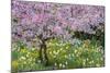 France, Giverny. Springtime in Claude Monet's Garden-Jaynes Gallery-Mounted Photographic Print