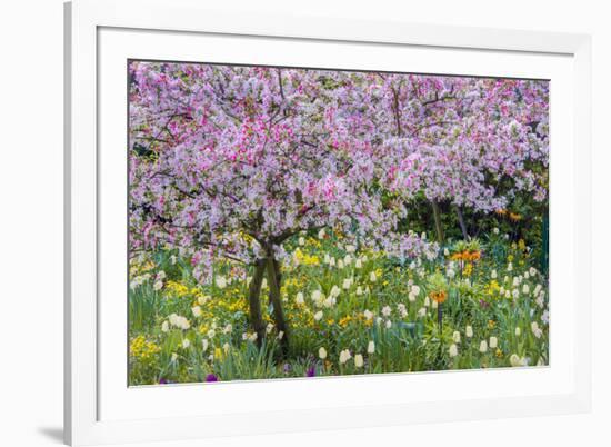 France, Giverny. Springtime in Claude Monet's Garden-Jaynes Gallery-Framed Photographic Print