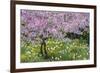 France, Giverny. Springtime in Claude Monet's Garden-Jaynes Gallery-Framed Photographic Print