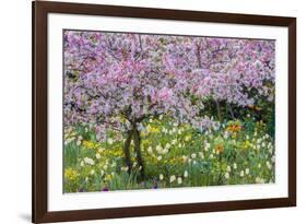 France, Giverny. Springtime in Claude Monet's Garden-Jaynes Gallery-Framed Photographic Print