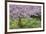 France, Giverny. Springtime in Claude Monet's Garden-Jaynes Gallery-Framed Photographic Print