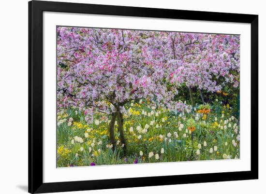 France, Giverny. Springtime in Claude Monet's Garden-Jaynes Gallery-Framed Photographic Print