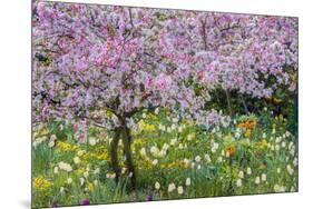 France, Giverny. Springtime in Claude Monet's Garden-Jaynes Gallery-Mounted Photographic Print