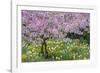 France, Giverny. Springtime in Claude Monet's Garden-Jaynes Gallery-Framed Photographic Print