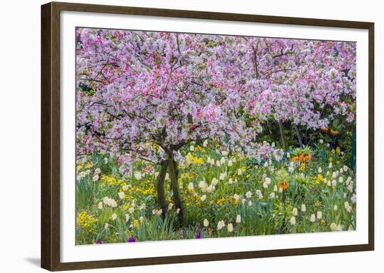 France, Giverny. Springtime in Claude Monet's Garden-Jaynes Gallery-Framed Photographic Print