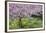 France, Giverny. Springtime in Claude Monet's Garden-Jaynes Gallery-Framed Photographic Print