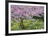 France, Giverny. Springtime in Claude Monet's Garden-Jaynes Gallery-Framed Photographic Print
