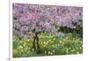 France, Giverny. Springtime in Claude Monet's Garden-Jaynes Gallery-Framed Photographic Print