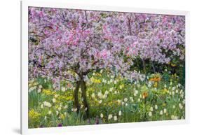 France, Giverny. Springtime in Claude Monet's Garden-Jaynes Gallery-Framed Photographic Print