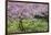 France, Giverny. Springtime in Claude Monet's Garden-Jaynes Gallery-Framed Photographic Print