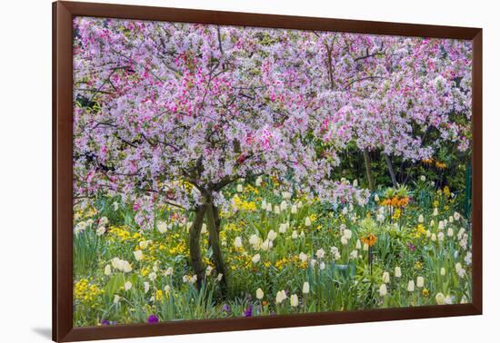 France, Giverny. Springtime in Claude Monet's Garden-Jaynes Gallery-Framed Photographic Print