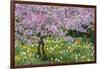 France, Giverny. Springtime in Claude Monet's Garden-Jaynes Gallery-Framed Photographic Print