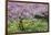 France, Giverny. Springtime in Claude Monet's Garden-Jaynes Gallery-Framed Photographic Print