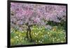 France, Giverny. Springtime in Claude Monet's Garden-Jaynes Gallery-Framed Photographic Print