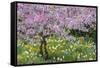 France, Giverny. Springtime in Claude Monet's Garden-Jaynes Gallery-Framed Stretched Canvas