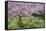 France, Giverny. Springtime in Claude Monet's Garden-Jaynes Gallery-Framed Stretched Canvas