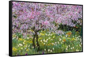 France, Giverny. Springtime in Claude Monet's Garden-Jaynes Gallery-Framed Stretched Canvas