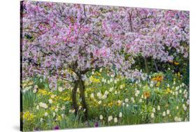 France, Giverny. Springtime in Claude Monet's Garden-Jaynes Gallery-Stretched Canvas