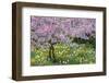 France, Giverny. Springtime in Claude Monet's Garden-Jaynes Gallery-Framed Premium Photographic Print