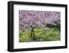 France, Giverny. Springtime in Claude Monet's Garden-Jaynes Gallery-Framed Premium Photographic Print