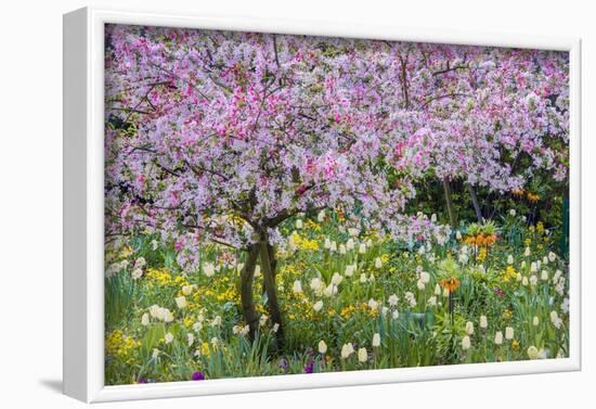 France, Giverny. Springtime in Claude Monet's Garden-Jaynes Gallery-Framed Photographic Print