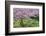 France, Giverny. Springtime in Claude Monet's Garden-Jaynes Gallery-Framed Photographic Print