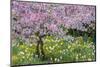 France, Giverny. Springtime in Claude Monet's Garden-Jaynes Gallery-Mounted Photographic Print