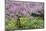 France, Giverny. Springtime in Claude Monet's Garden-Jaynes Gallery-Mounted Photographic Print