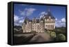 France, Indre-Et-Loire, Chateau De Langeais in Loire Valley-null-Framed Stretched Canvas