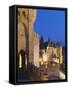 France, Languedoc, Carcassonne, Walled City at Night-Shaun Egan-Framed Stretched Canvas