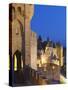 France, Languedoc, Carcassonne, Walled City at Night-Shaun Egan-Stretched Canvas