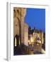 France, Languedoc, Carcassonne, Walled City at Night-Shaun Egan-Framed Photographic Print