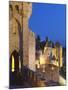 France, Languedoc, Carcassonne, Walled City at Night-Shaun Egan-Mounted Photographic Print