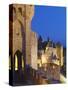 France, Languedoc, Carcassonne, Walled City at Night-Shaun Egan-Stretched Canvas