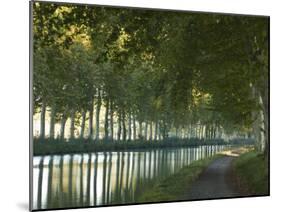 France, Languedoc-Rousillon, Canal Du Midi-Katie Garrod-Mounted Photographic Print
