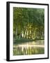 France, Languedoc-Rousillon, Canal Du Midi-Katie Garrod-Framed Photographic Print