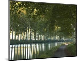 France, Languedoc-Rousillon, Canal Du Midi-Katie Garrod-Mounted Photographic Print