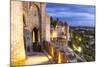 France, Languedoc-Roussillon, Aude, Carcassonne. Walls and Towers of the Old Town at Dusk-Matteo Colombo-Mounted Photographic Print