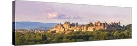 France, Languedoc-Roussillon, Aude, Carcassonne-Matteo Colombo-Stretched Canvas