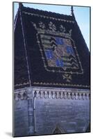 France, Languedoc-Roussillon, Uzès, Duchy of Uzès, 11th-12th Centuries, Coat of Arms on Roof-null-Mounted Giclee Print