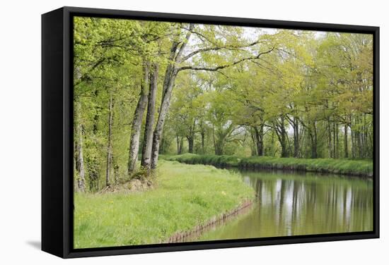 France, Loire. Spring Trees and Grasses, Canal Lateral a La Loire-Kevin Oke-Framed Stretched Canvas