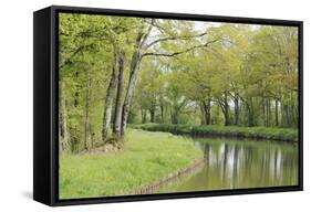 France, Loire. Spring Trees and Grasses, Canal Lateral a La Loire-Kevin Oke-Framed Stretched Canvas