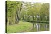 France, Loire. Spring Trees and Grasses, Canal Lateral a La Loire-Kevin Oke-Stretched Canvas